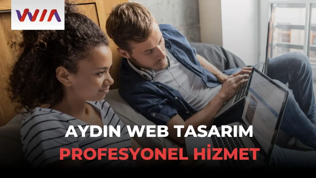 aydın webs